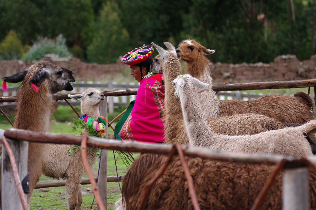 Turismo rural comunitario en Cusco