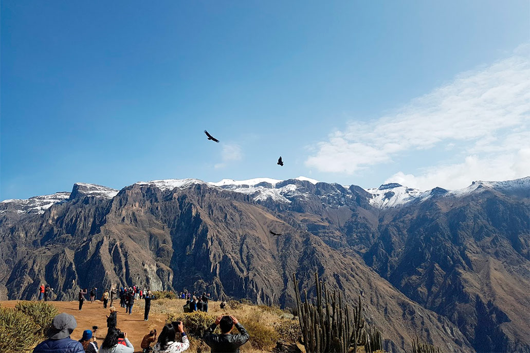 Colca canyon tour