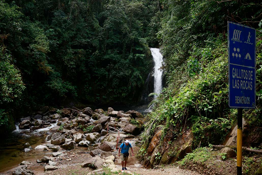 Catarata Gallito de las Rocas