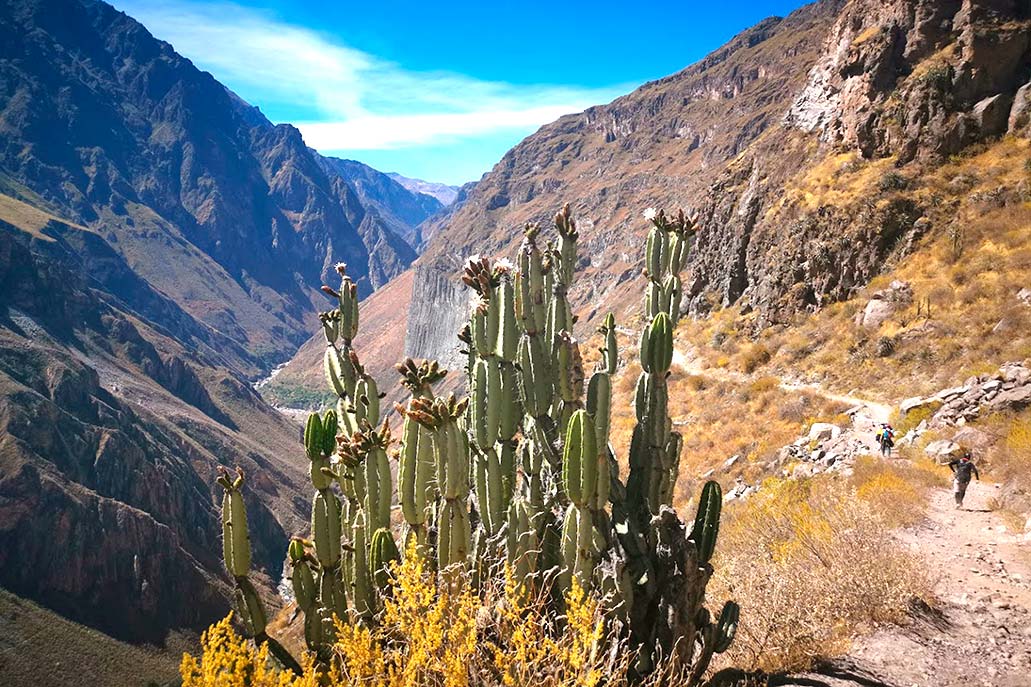 Paisaje del cañon del Colca