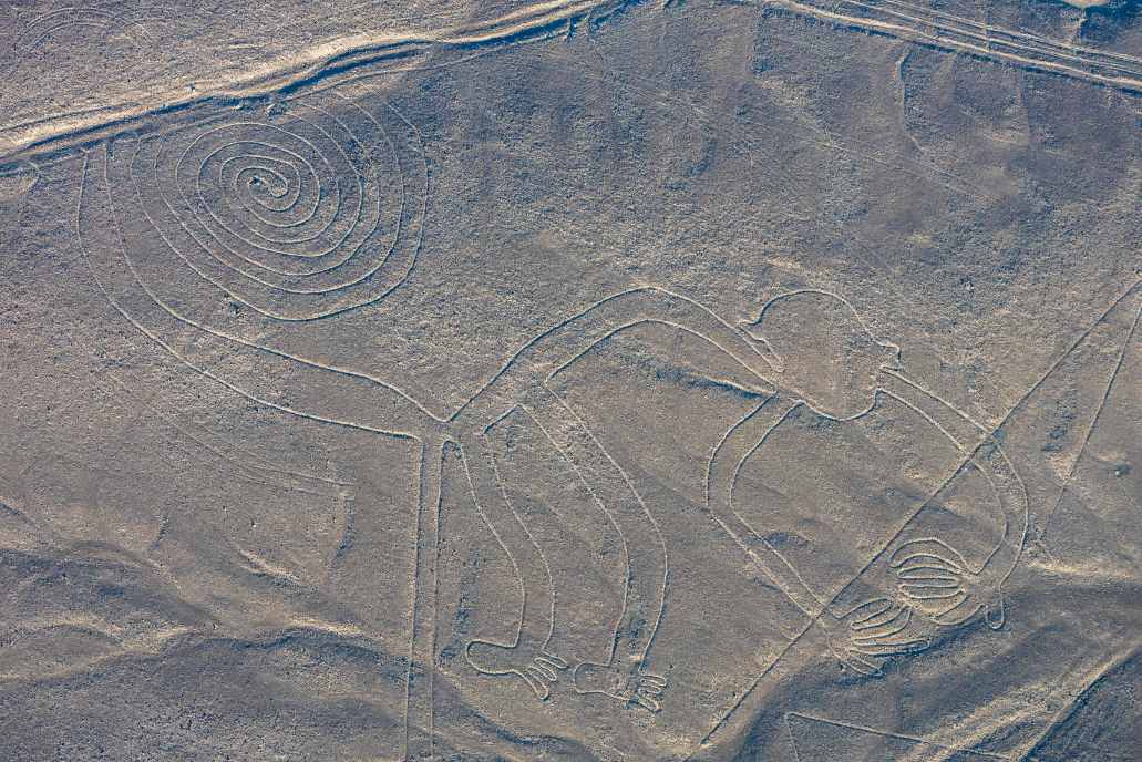 Figura del mono - Línea de Nazca