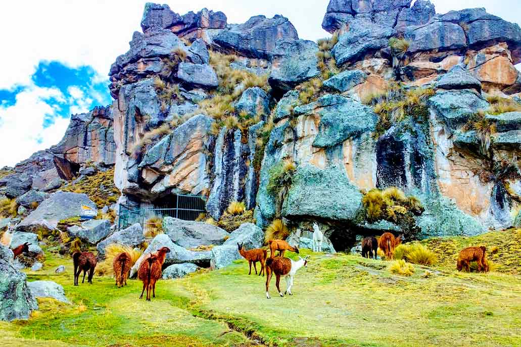 Bosque piedras Huayllay