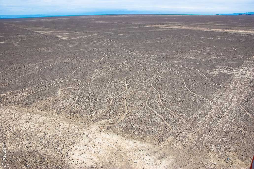 Nazca lines