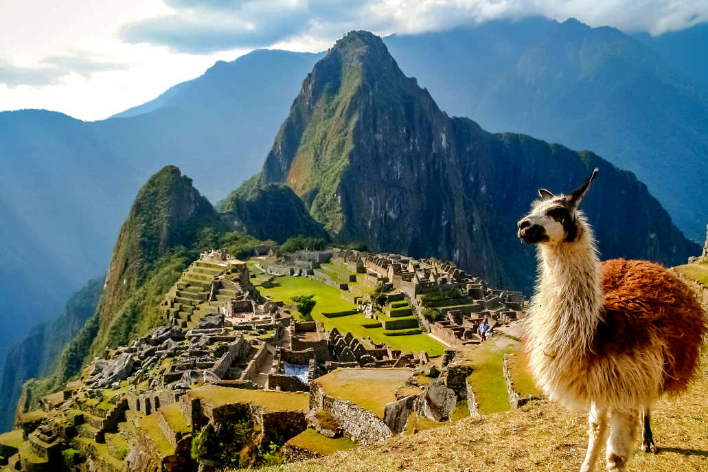 Foto clásica de Machu Picchu con una llama