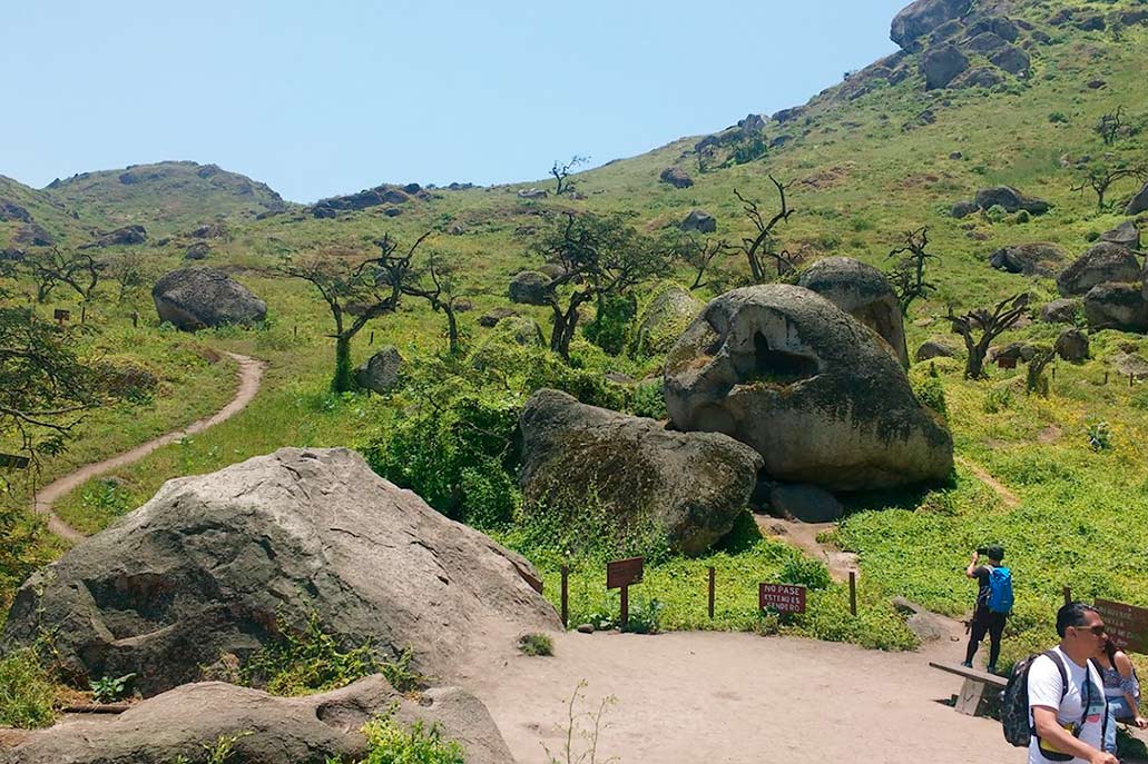 Colinas de Lachay