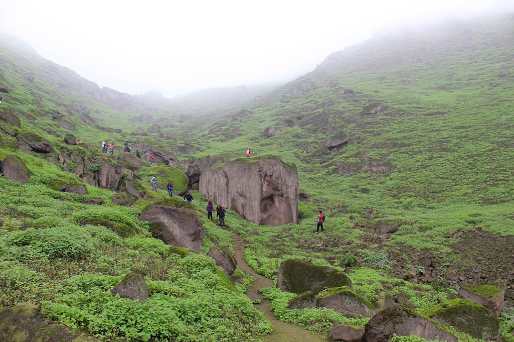 Colinas de Mangomarca
