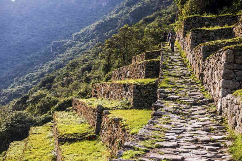 Inca Terraces in Machu Picchu
