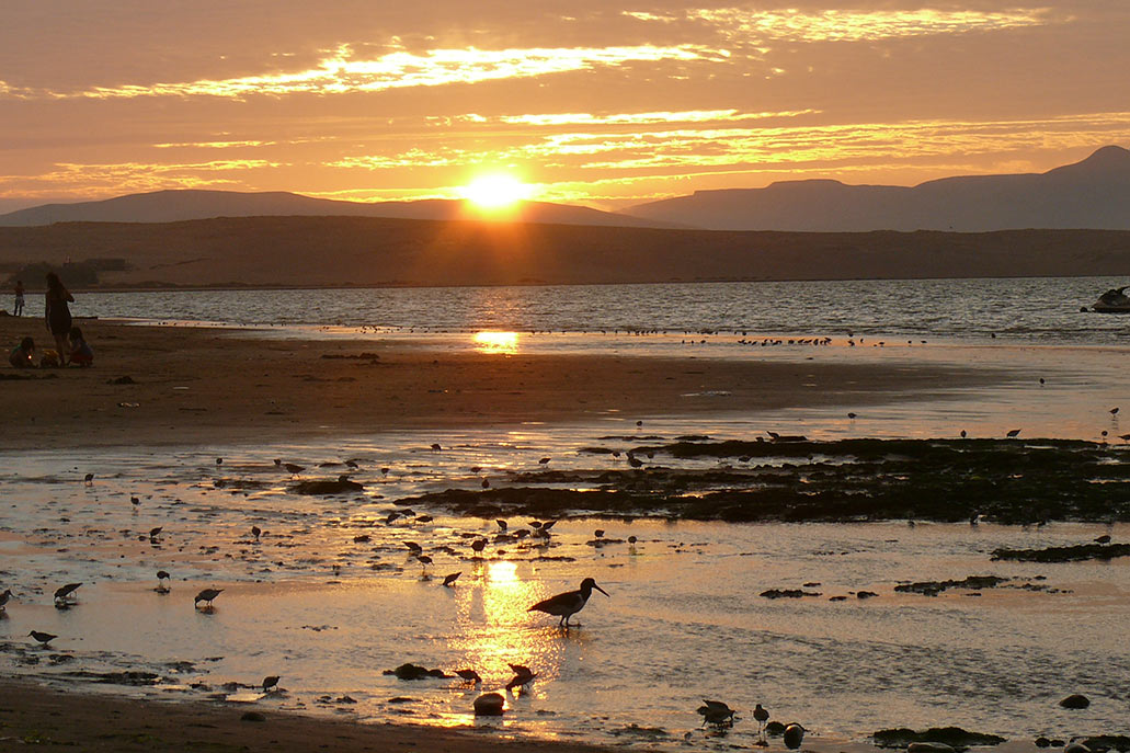 As 11 ecorregiões do Peru