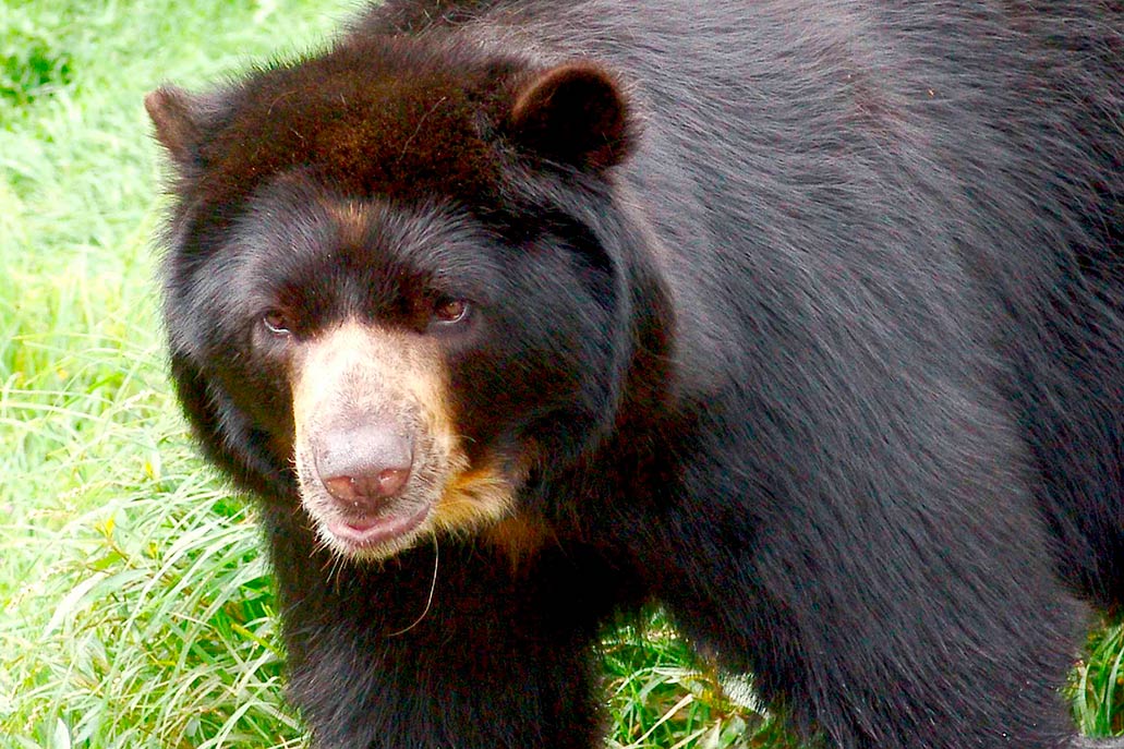 Parque Nacional de Cutervo