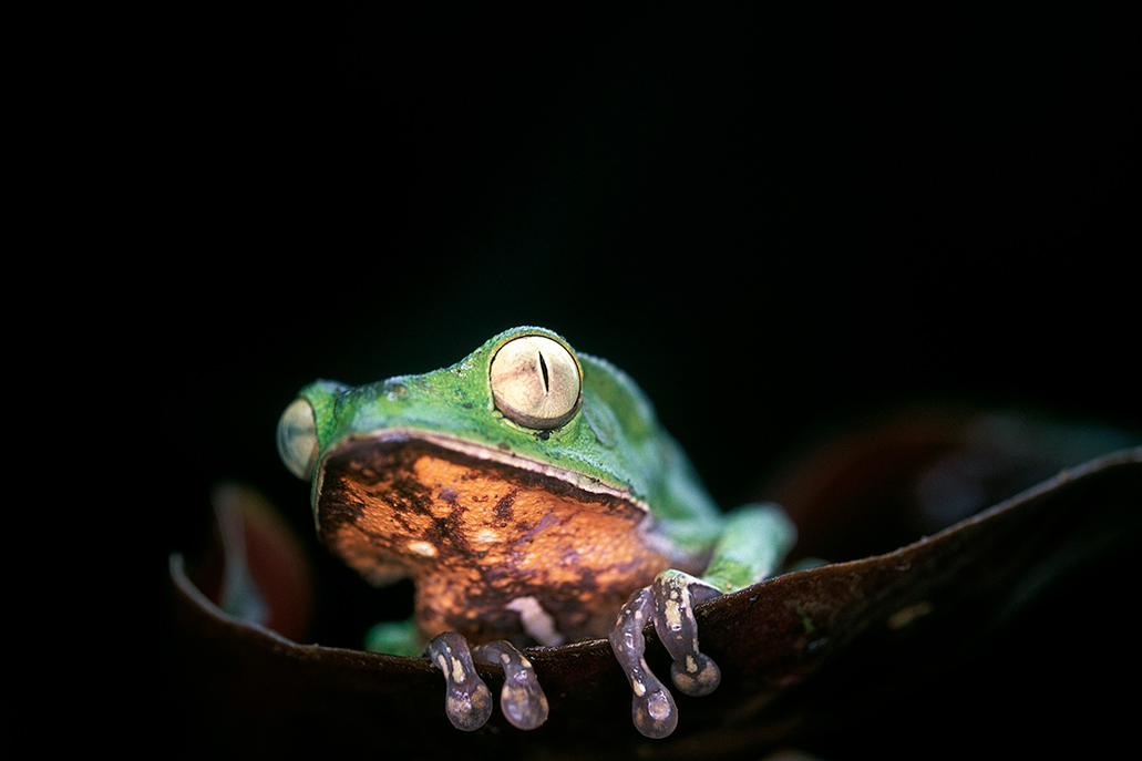 Parque Nacional Ichigkat Muja – Cordilheira do Condor