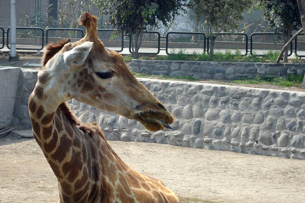 O Parque das Lendas em Lima
