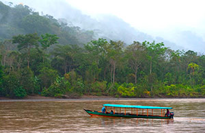 Peru in May