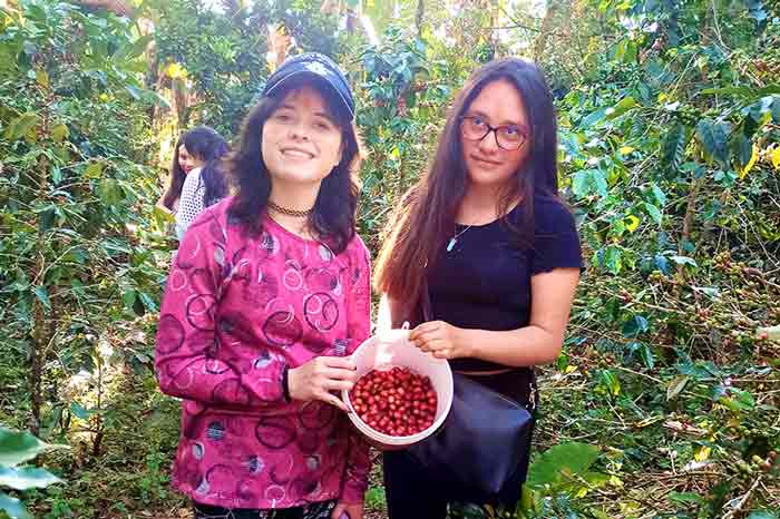 Tour ruta del Cafe y Chocolate